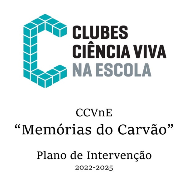 ccvne plano