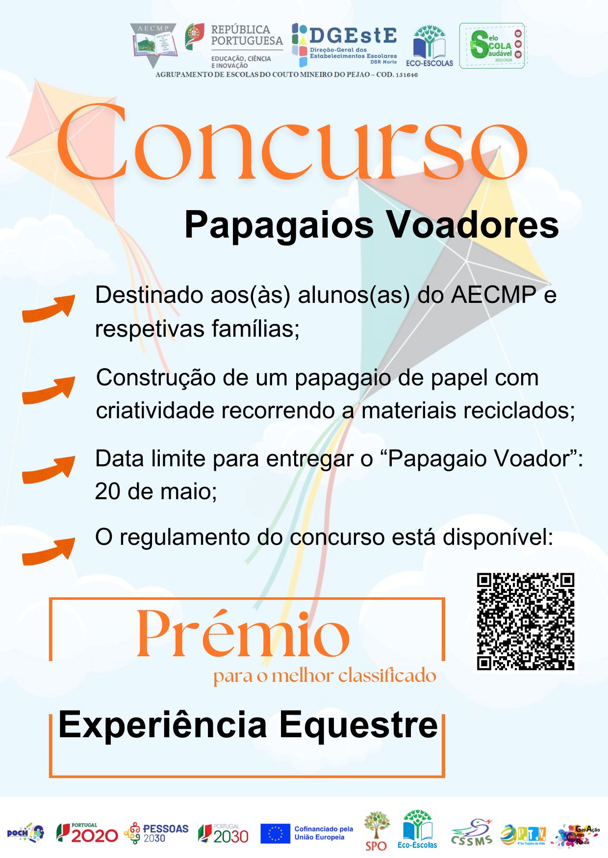 concurso papagaios voadores