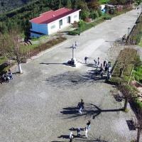 Sao Domingos 2024.11.11 2