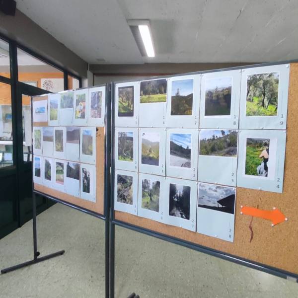 “À volta das Minas”: Exposição de trabalhos
